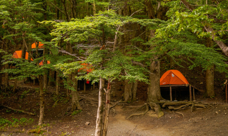 Chileno Camping